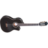 Classical guitar Ortega RCE145BK