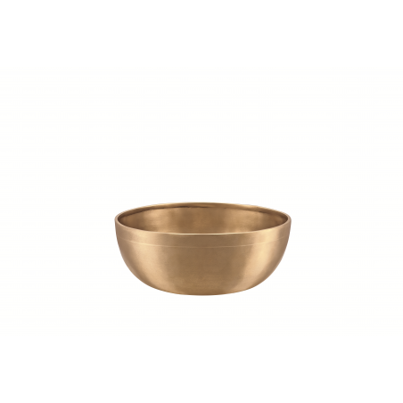 Meinl Sonic Energy Singing Bowl Energy Therapy Series E-1000