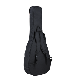 Electro acoustic guitar