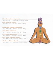 Singing Bowls Chakra Set Meinl Sonic Energy SB-SET-CHA