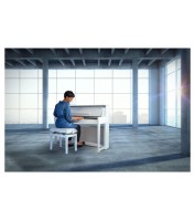 Digiklaver Classic UP-1 WM