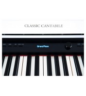 Digital Piano Classic UP-1 WM