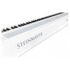 Digiklaver Steinmayer P-60 WM