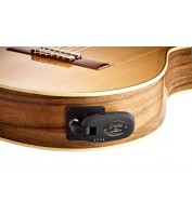 Ortega Digital Wireless System ODWS-1