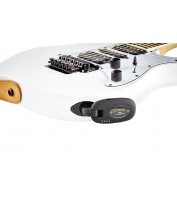 Ortega Digital Wireless System ODWS-1