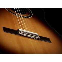Classical guitar Ortega R158SN-TSB