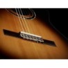 Classical guitar Ortega R158SN-TSB