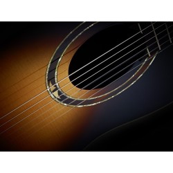 Electro acoustic guitar