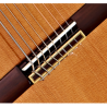 Classical guitar