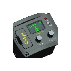 Elektroakustiline guitalele