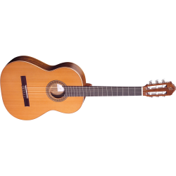 Classical guitar Ortega R220