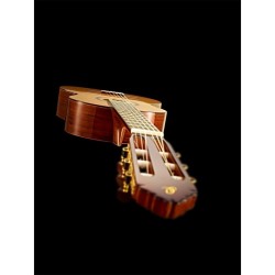Classical guitar Ortega M8CS