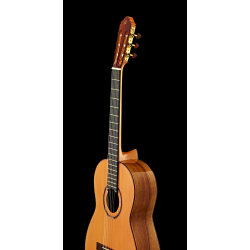 Classical guitar Ortega M7CS