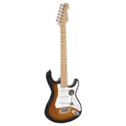 Richwood Master Series electric guitar "Santiago Standard" REG-320-2SB