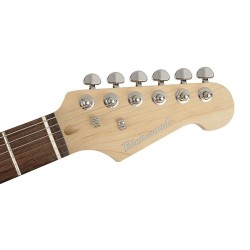 Richwood Master Series electric guitar "Santiago Standard" REG-322-3SB