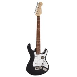 Richwood Master Series electric guitar "Santiago Standard" REG-322-BKS