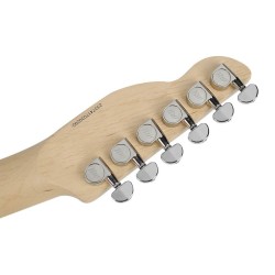 Richwood Master Series elektrikitarr "Buckaroo Standard" REG-360-2SB