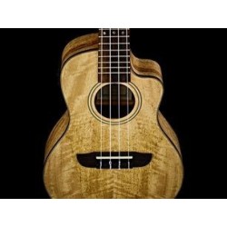 Concert ukulele Ortega RUMG-CE