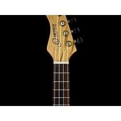 Concert ukulele Ortega RUMG-CE
