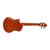 Tenor ukulele Ortega RU5CE-TE