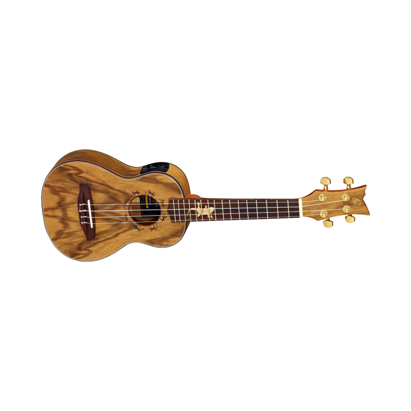 Concert ukulele Ortega LIZARD-CC-GB