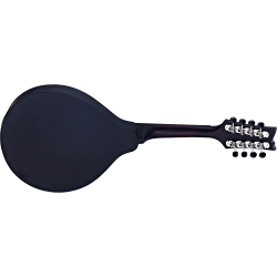 Ortega mandolin RMA5VS