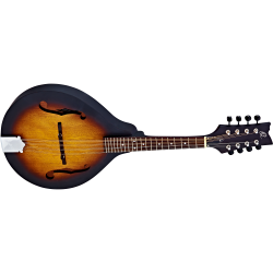 Ortega mandolin RMA5VS