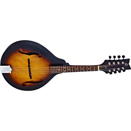 Ortega mandolin RMA5VS