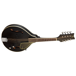 Ortega mandolin RMAE40SBK
