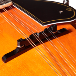 Ortega mandolin RMA50VY