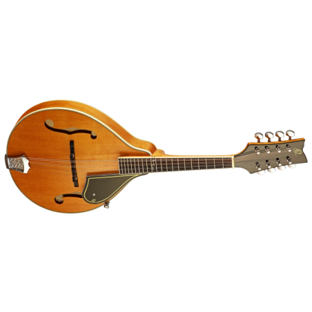 Ortega mandolin RMA50VY