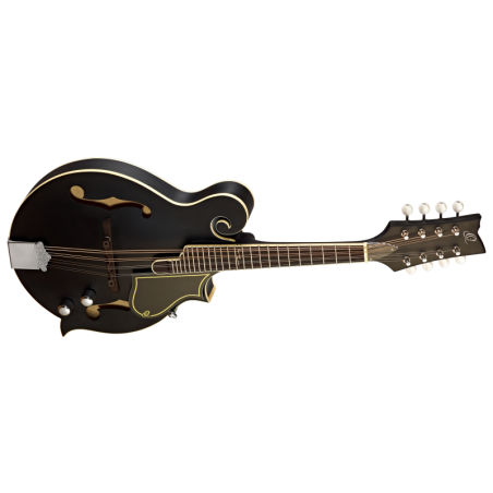Ortega mandolin RMFE40SBK