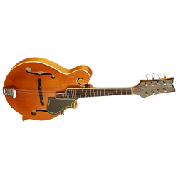 Ortega mandolin RMF50VY