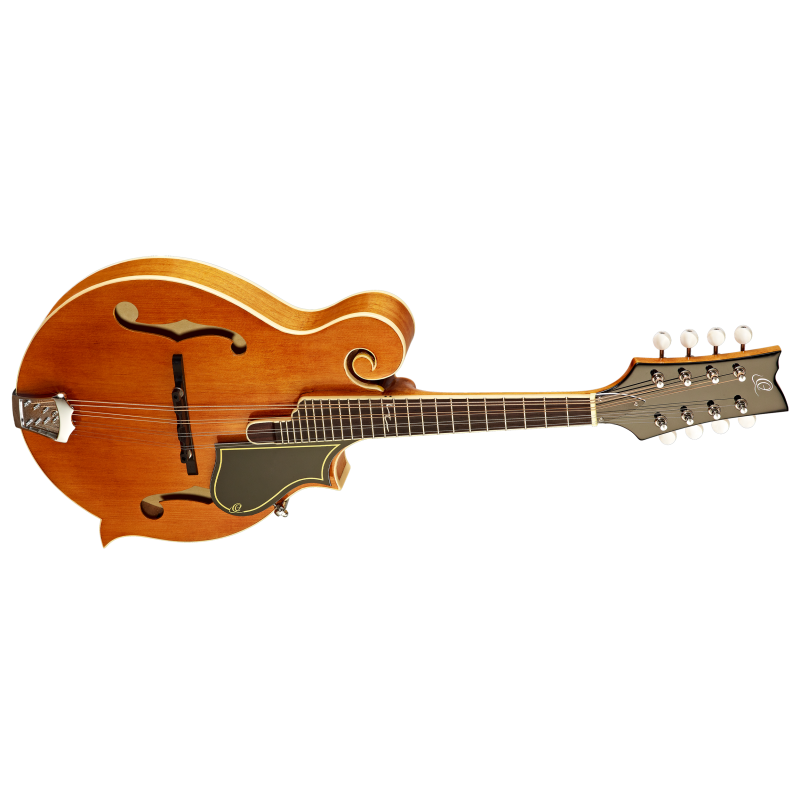 Ortega mandolin RMF50VY