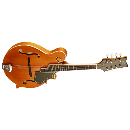 Ortega mandolin RMF50VY