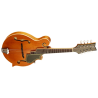 Ortega mandolin RMF50VY