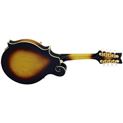 Ortega mandolin RMFE90TS