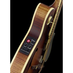 Ortega mandolin RMFE90TS