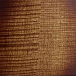 Ortega mandoliin RMF100AVO