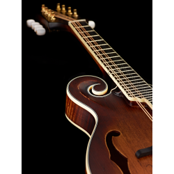 Ortega mandolin RMF100AVO