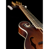 Ortega mandolin RMF100AVO