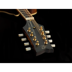 Ortega mandolin RMF100AVO