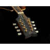Ortega mandolin RMF100AVO