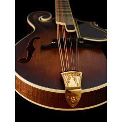 Ortega mandolin RMF100AVO