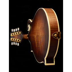 Ortega mandolin RMF100AVO