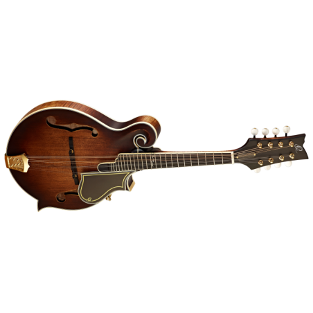 Ortega mandolin RMF100AVO