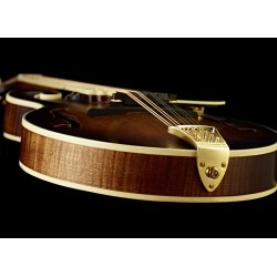 Ortega mandolin RMFE100AVO