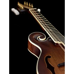 Ortega mandolin RMFE100AVO