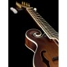 Ortega mandolin RMFE100AVO