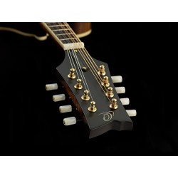 Ortega mandolin RMFE100AVO